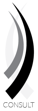 Consulting Service Icon