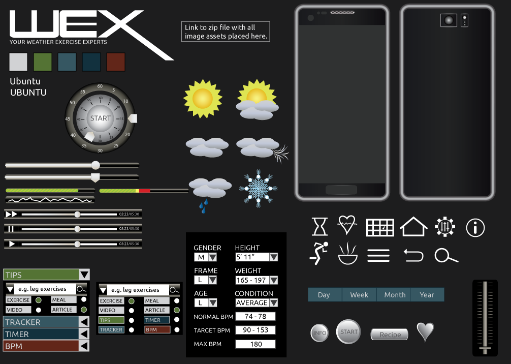 Visual Design for WEX prototype.